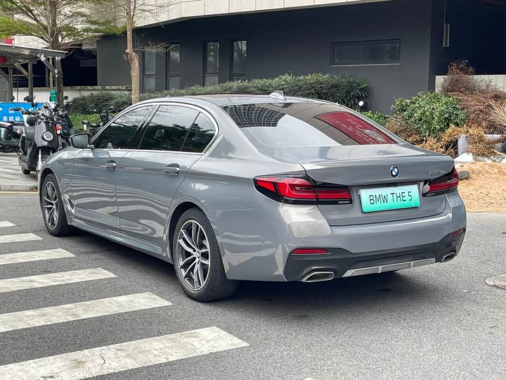 Фото 4 - BMW 5 Series Hybrid