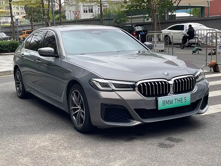 Фото 6 - BMW 5 Series Hybrid