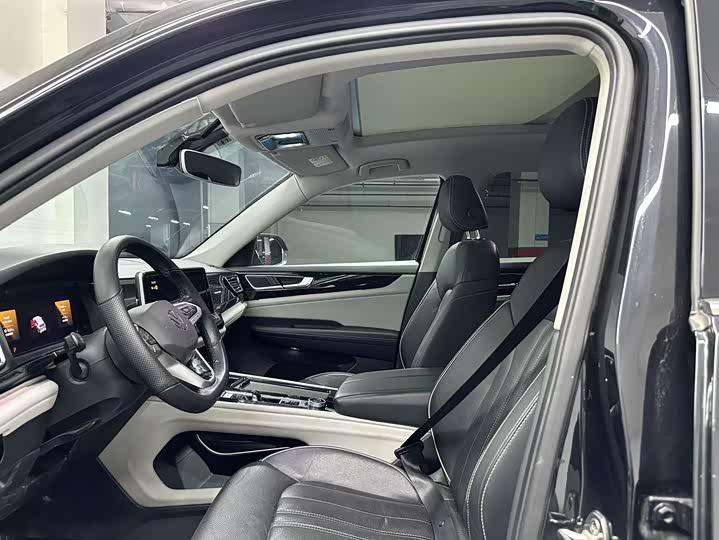 Photo 4 - Volkswagen Teramont Pro