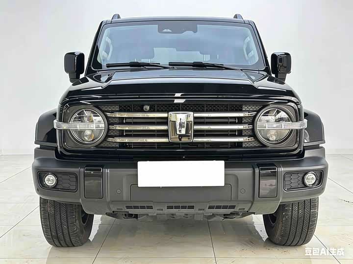 Фото 2 - Tank 300