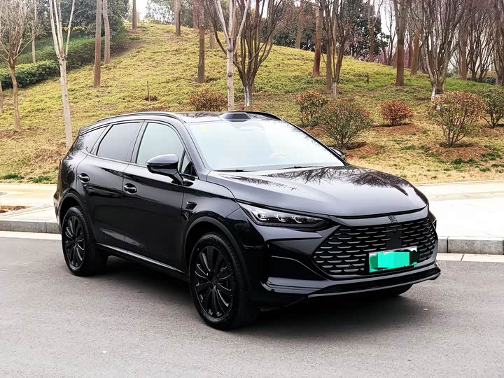 Photo 3 - BYD Tang Hybrid/EV