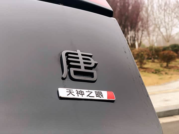 Photo 5 - BYD Tang Hybrid/EV