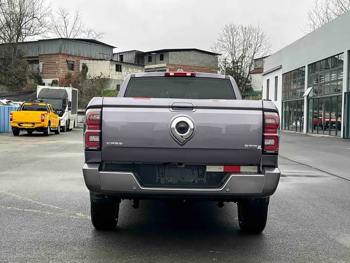 Фото 7 - Great Wall King Kong Poer