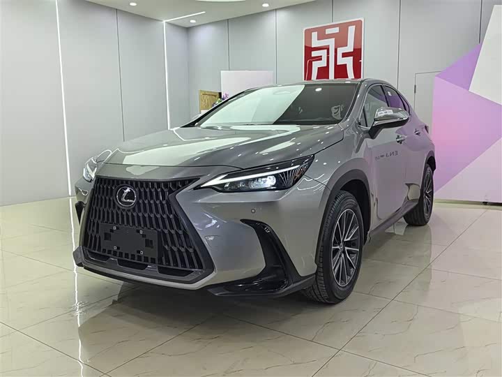 Фото 1 - Lexus NX