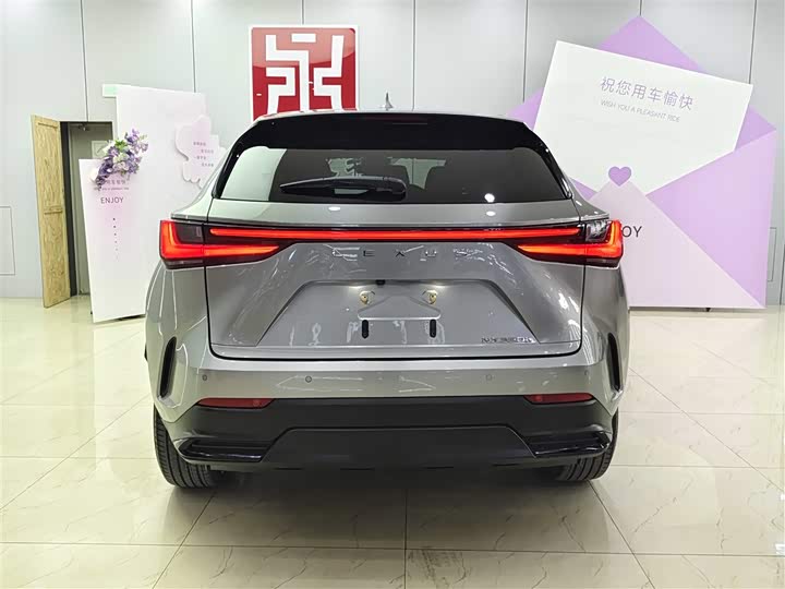 Фото 5 - Lexus NX