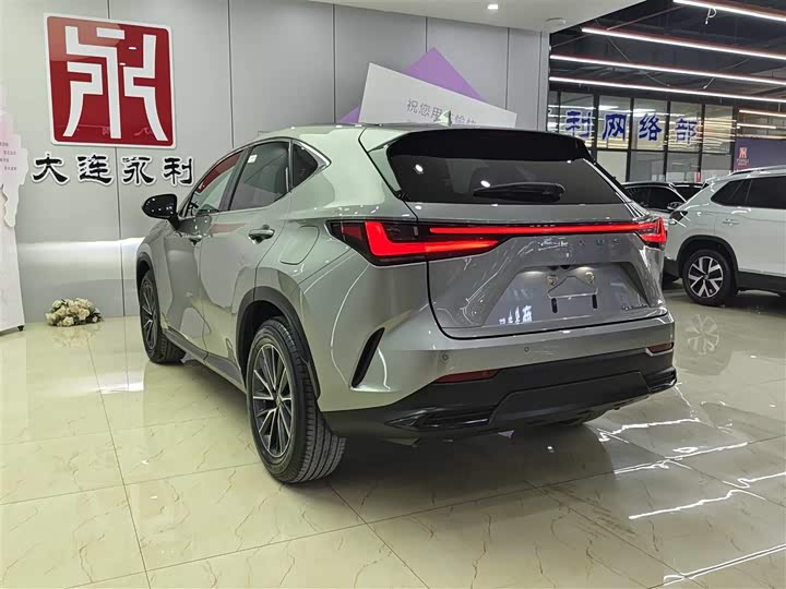 Фото 6 - Lexus NX