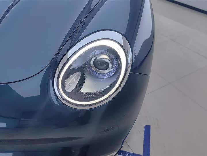 Photo 5 - Ora Good Cat (03)