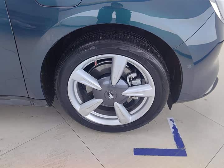 Photo 6 - Ora Good Cat (03)