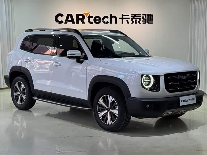 Фото 3 - Haval Dargo