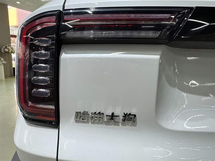 Фото 8 - Haval Dargo