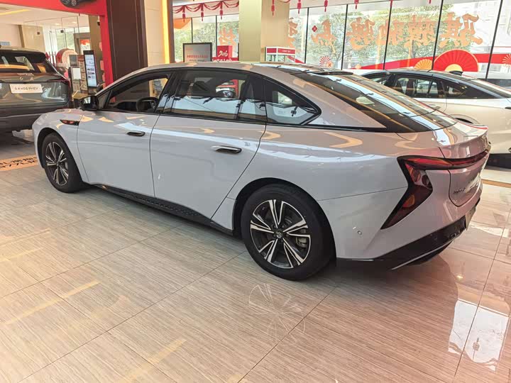 Фото 4 - Hongqi EH7