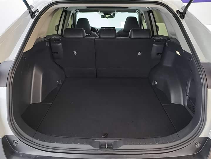 Photo 4 - Toyota Wildlander