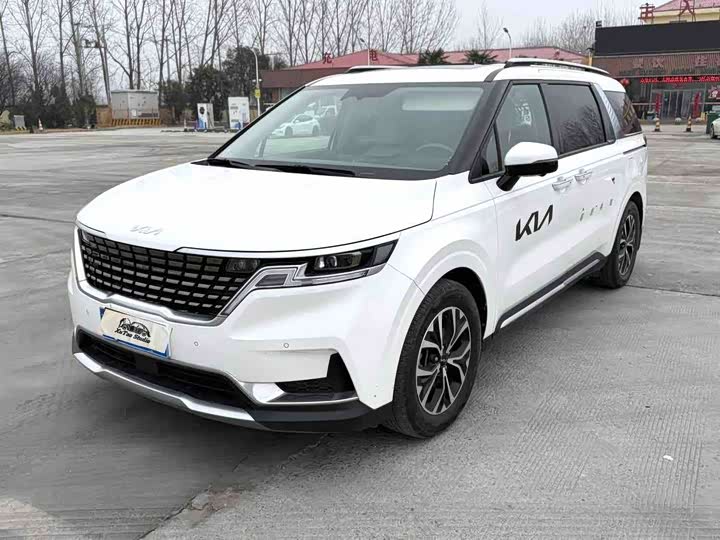Фото 1 - Kia Carnival