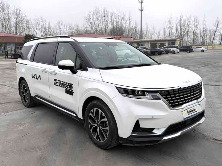 Фото 3 - Kia Carnival