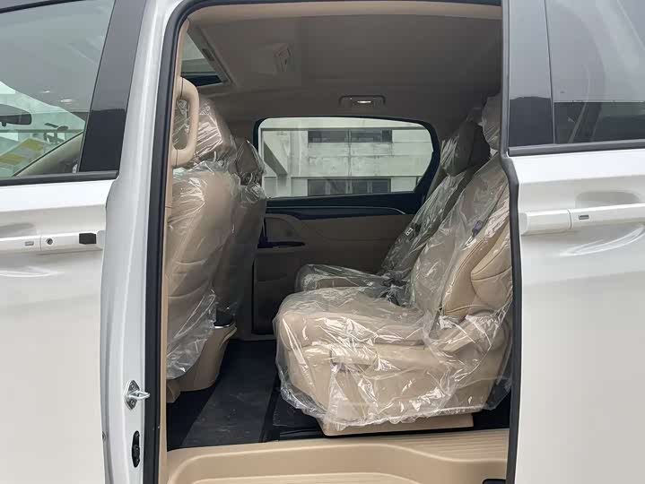 Фото 6 - Buick GL8 ES