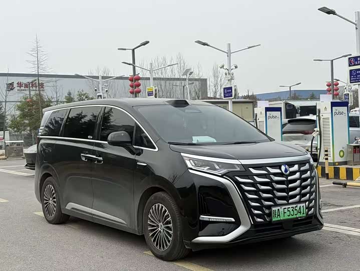 Фото 3 - Denza D9