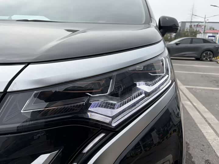 Фото 4 - Denza D9