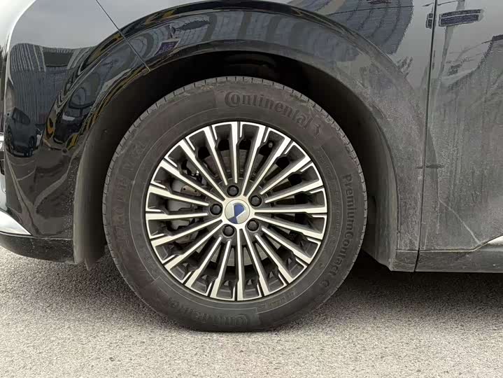 Фото 5 - Denza D9