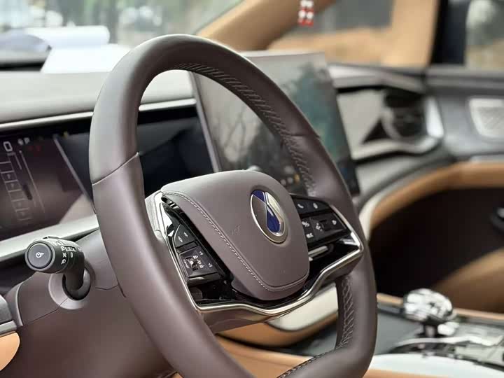 Фото 6 - Denza D9