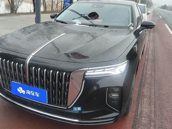 Фото 1 - Hongqi H9