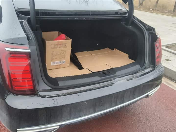 Фото 4 - Hongqi H9