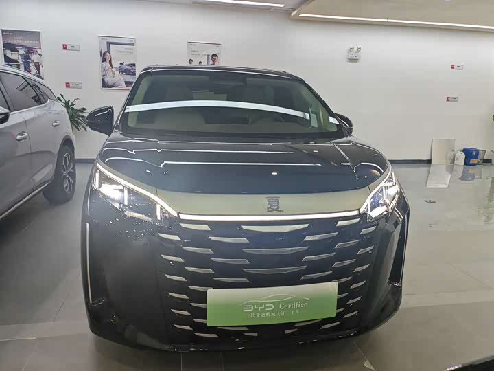 Фото 2 - BYD Xia