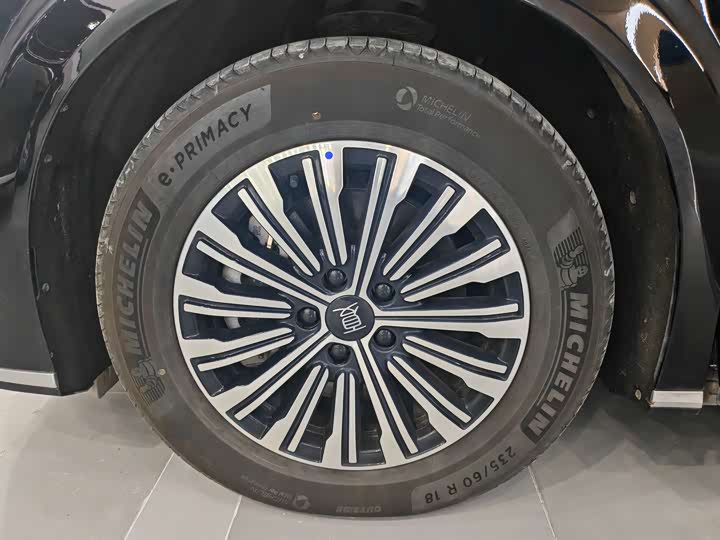 Фото 4 - BYD Xia