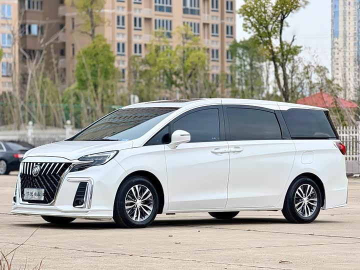 Фото 2 - Buick GL8 ES