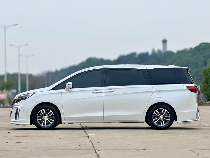 Фото 4 - Buick GL8 ES