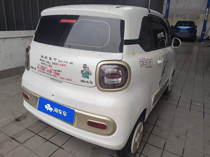 Фото 3 - Bestune Pony