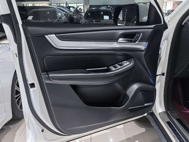 Фото 6 - Roewe RX8