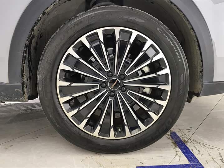 Фото 6 - Exeed RX C-DM Hybrid