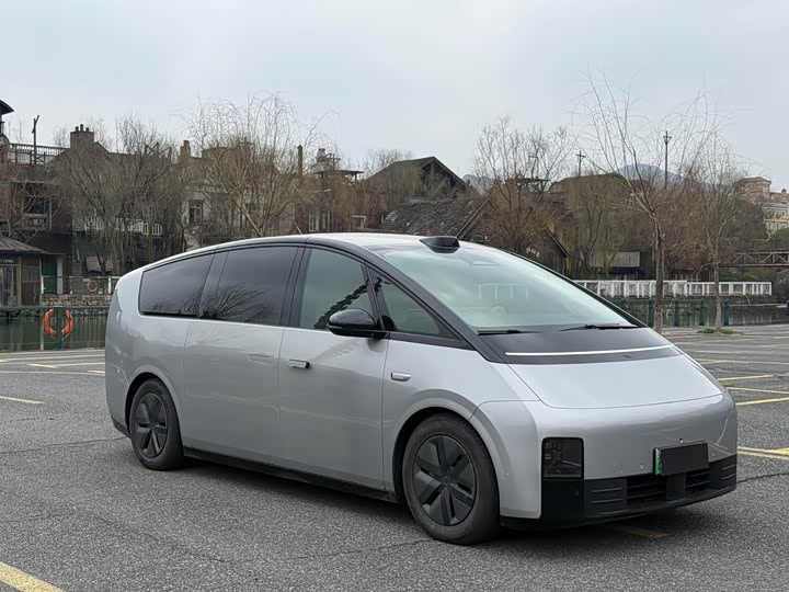 Фото 2 - LiXiang Mega