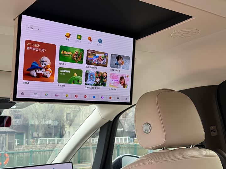 Фото 9 - LiXiang Mega