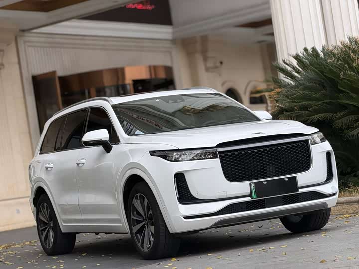 Фото 2 - LiXiang One