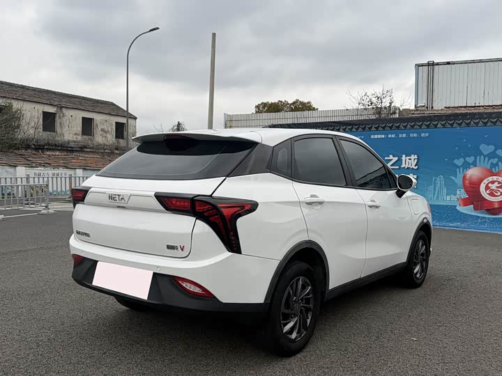 Фото 4 - Hozon V