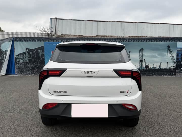 Фото 5 - Hozon V