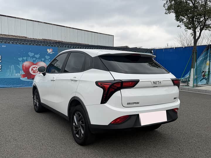 Фото 6 - Hozon V