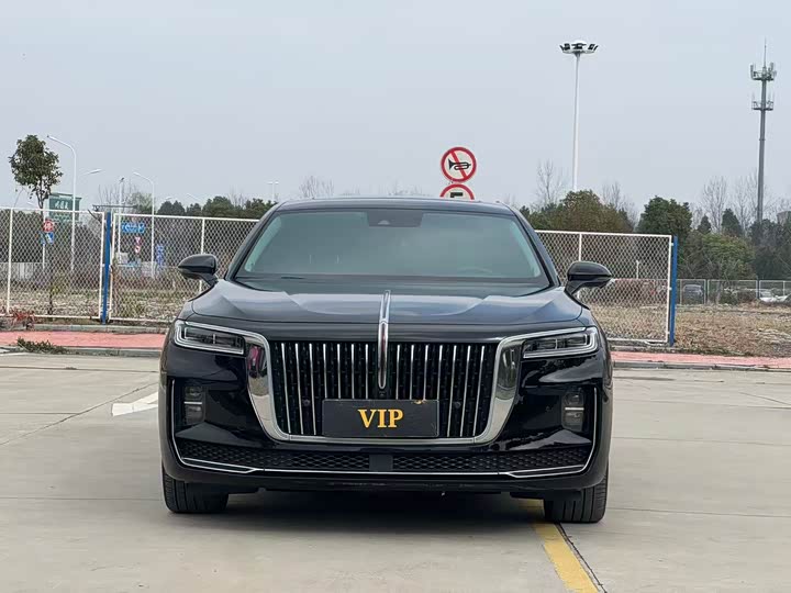 Фото 3 - Hongqi H9