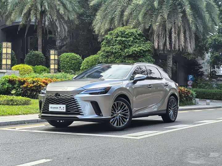 Фото 1 - Lexus RX