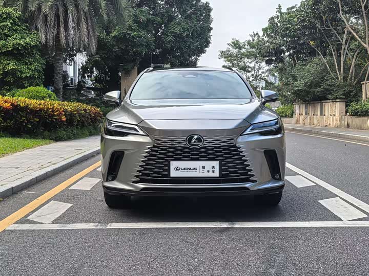 Фото 2 - Lexus RX