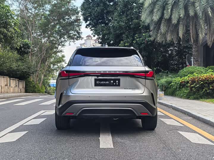 Фото 9 - Lexus RX