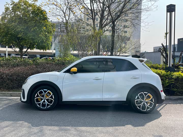 Фото 3 - Ora Good Cat GT (03 GT)