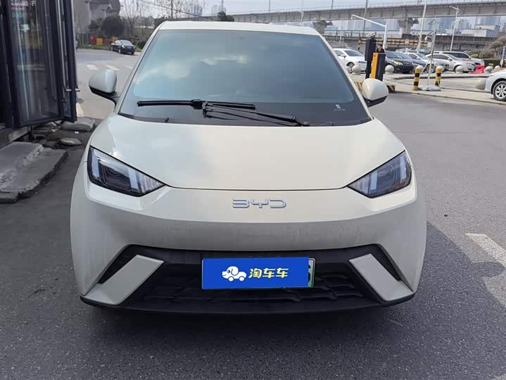 Фото 2 - BYD Seagull