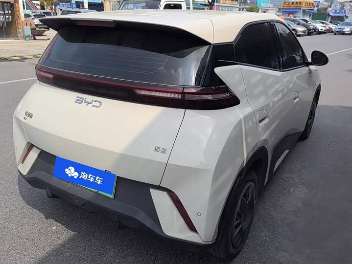 Фото 3 - BYD Seagull