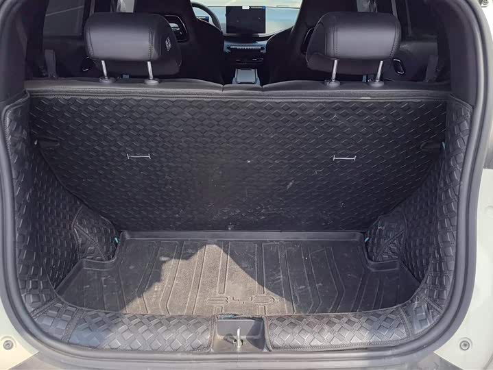 Фото 4 - BYD Seagull