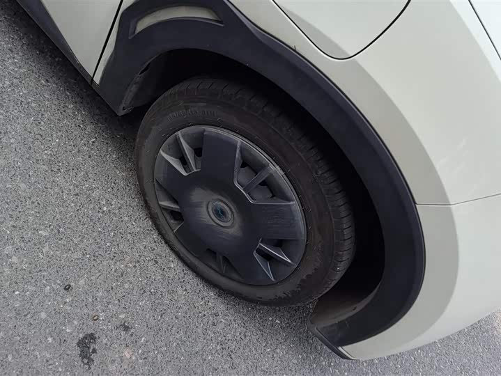 Фото 6 - BYD Seagull