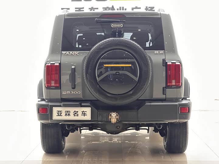 Фото 3 - Tank 300