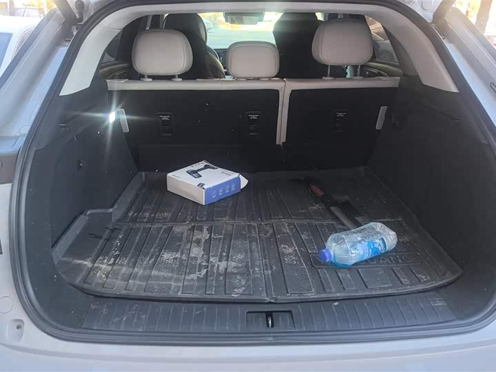 Photo 4 - Exeed RX C-DM Hybrid