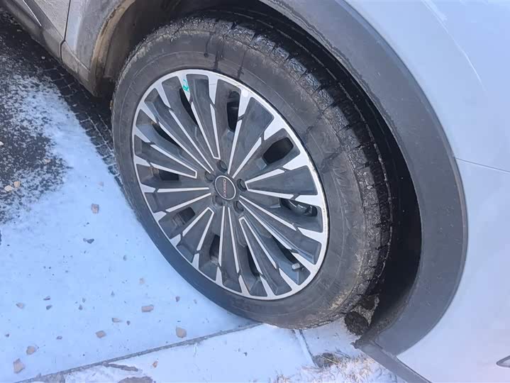 Photo 6 - Exeed RX C-DM Hybrid